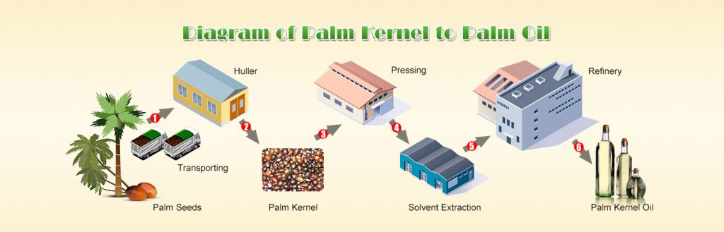 Схема производства пальмового масла